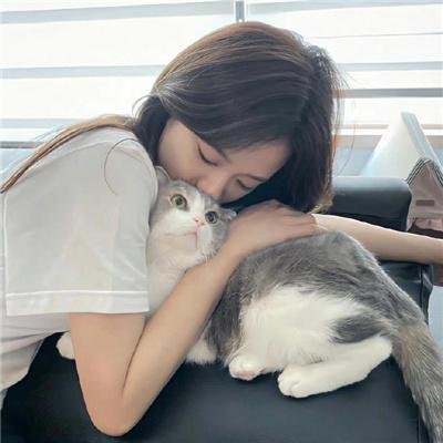 凤皇传